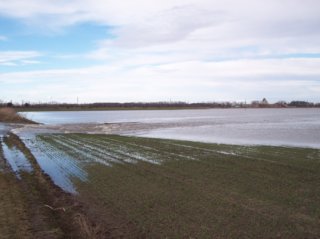 Hochwasser Bild_03