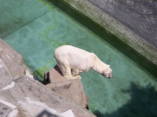 Schönbrunn Bild_08